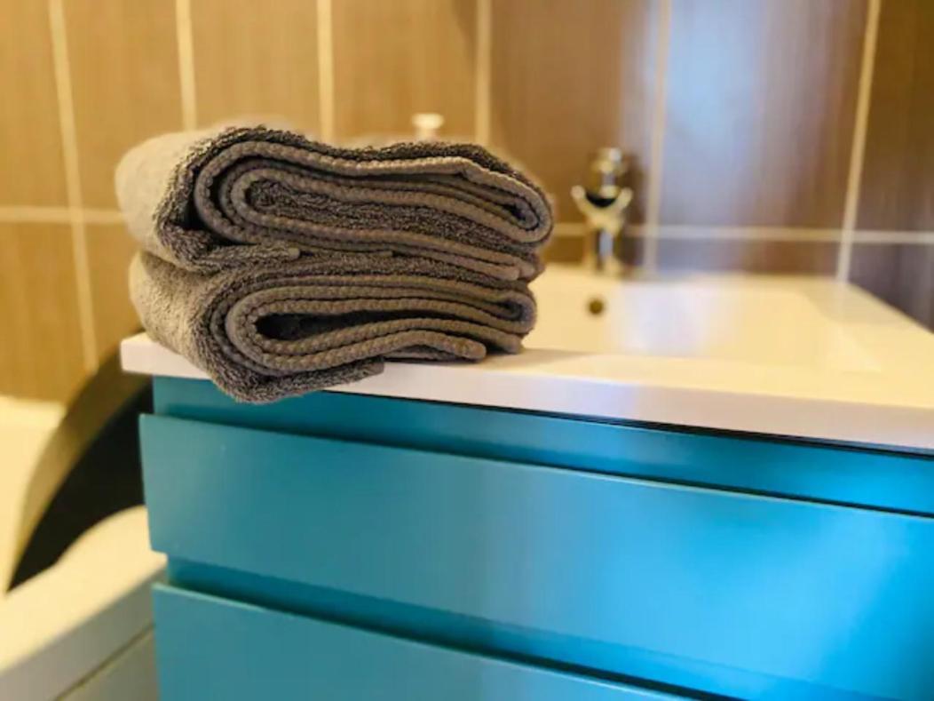 Le Zen Appartement Balneo Grenoble Ngoại thất bức ảnh